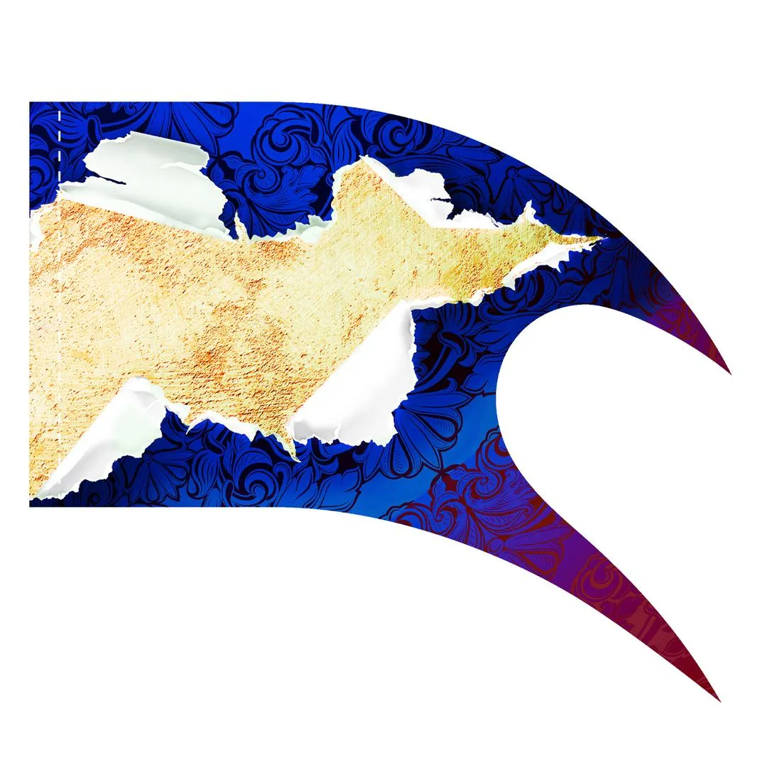 Flag Design 31789